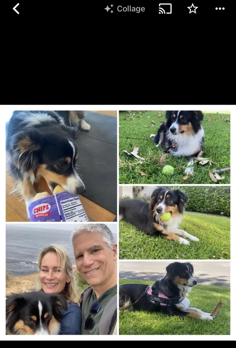 آيفون - أرشيفية