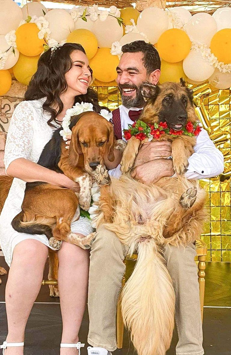 حفل زفاف أحمد وسجى في ملجأ كلاب