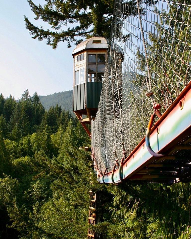 منزل الشجرة في غابات آشفورد منزل نهر