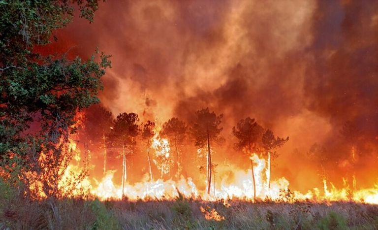 رجال الإطفاء يجاهدون لمحاصرة النيران