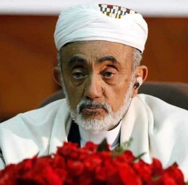 المؤرخ علي أبوالرجال