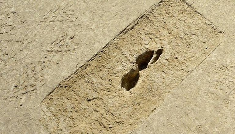 آثار الأقدام تعود إلى 10 آلاف سنة