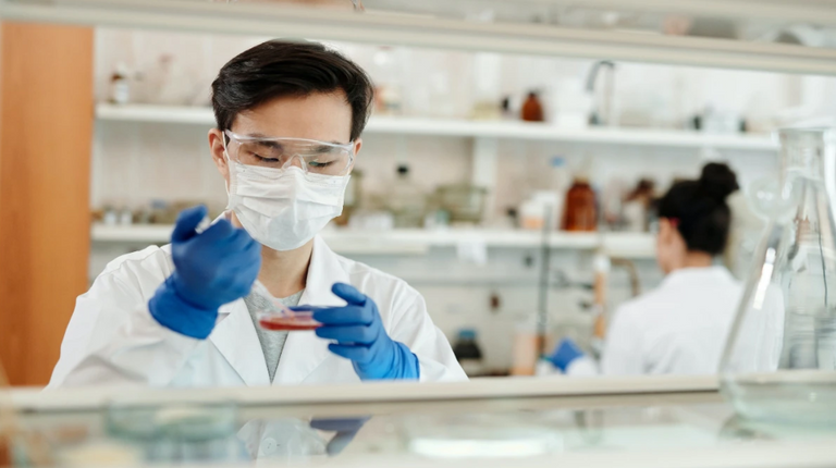 فيروس لانجيا ينتمي لعائلة فيروسات قاتلة