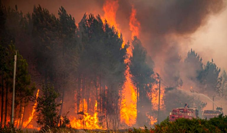 حرائق الغابات في جنوب فرنسا