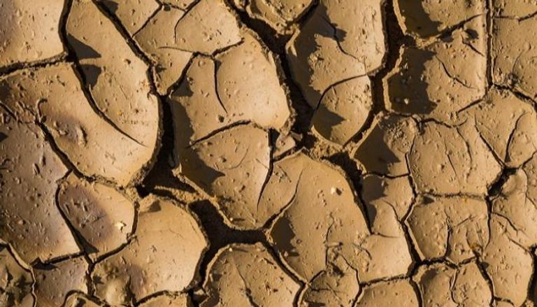 الجفاف ضرب أجزاء واسعة من أوروبا