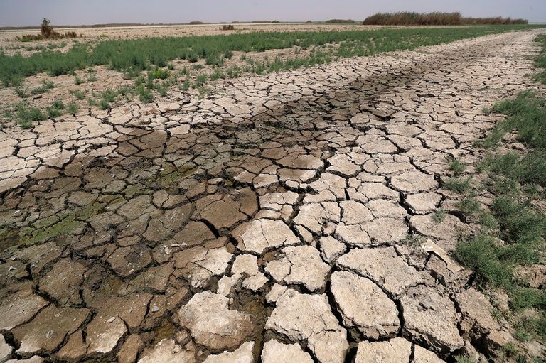الجفاف يضرب أهوار العراق