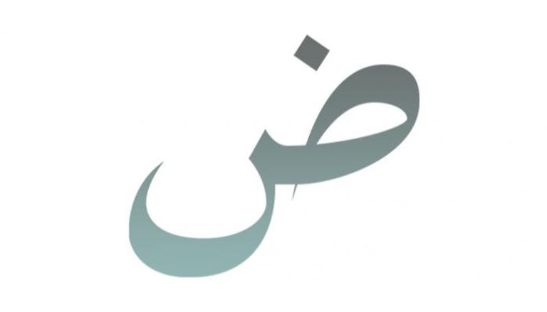 جهود إماراتية متواصلة لتعزيز حضور اللغة العربية