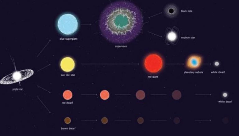 تصور لبعض مسارات تطور النجوم المحتملة