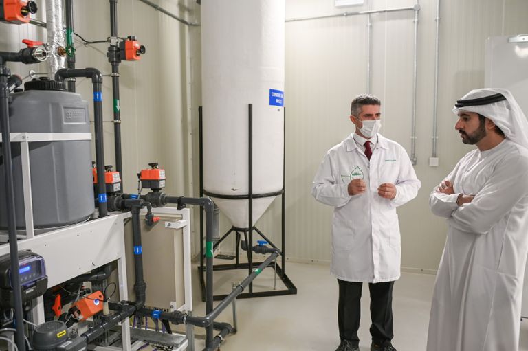 ولي عهد دبي خلال زيارته لمزرعة بستانك