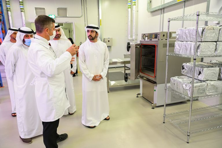 ولي عهد دبي خلال زيارته لمزرعة بستانك