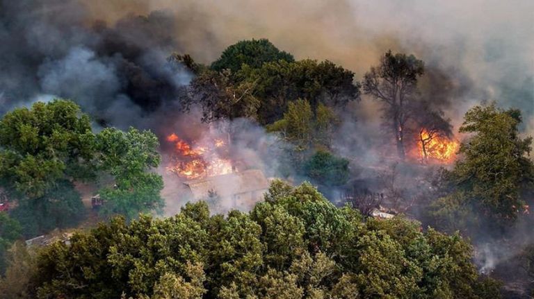 حريق في الجزائر