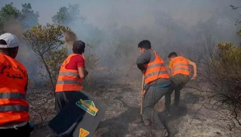  فرق الإطفاء تكافح حرائق الغابات بالمغرب - أرشيفية