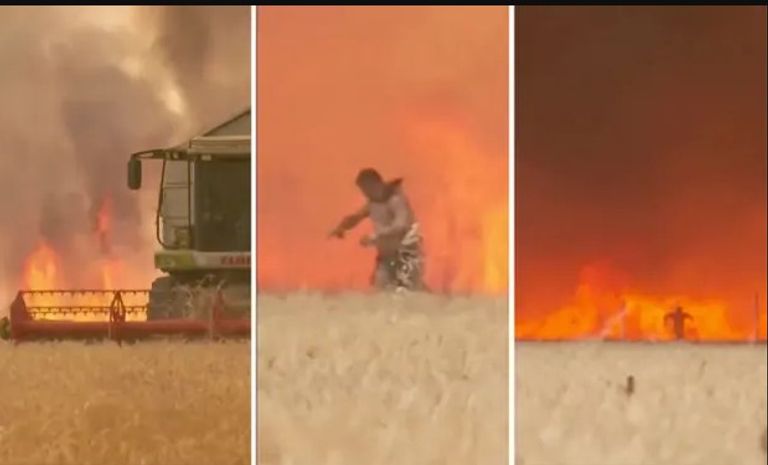 جانب من حريق الغابات في فينسيا الإسبانية