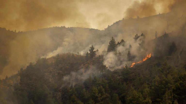 جانب من حريق الغابات في فينسيا الإسبانية