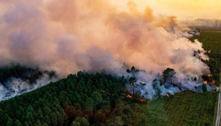 حريق غابات في إسبانيا