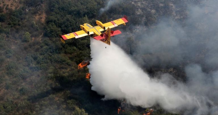 حرائق غابات في الجزائر 