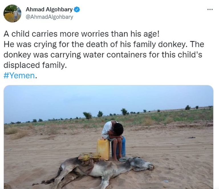 طفل يبكي بجوار حمار نافق