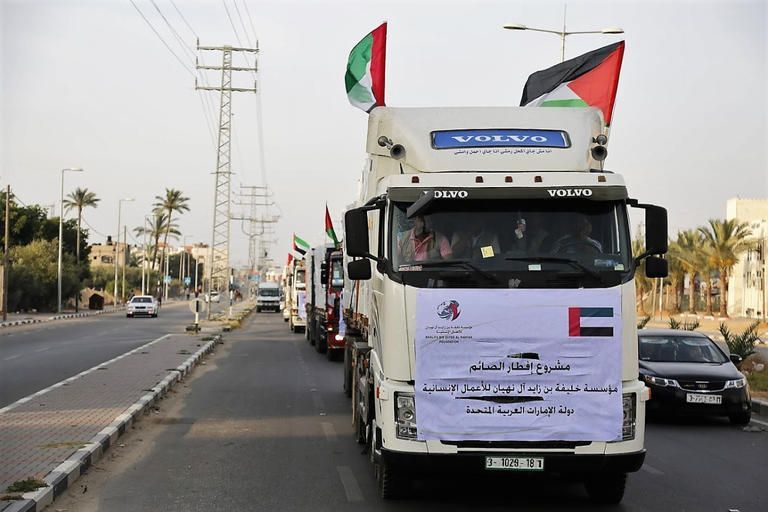 مؤسسة خليفة بن زايد آل نهيان للأعمال الإنسانية