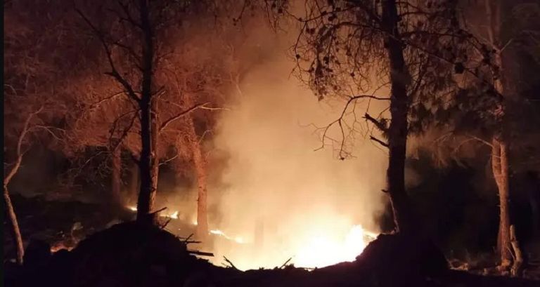 النيران تلتهم الغابات في الجزائر