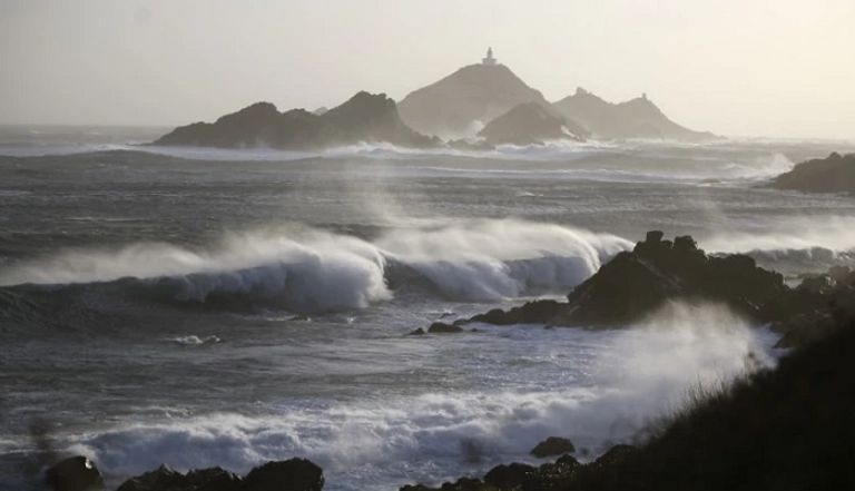 العاصفة اقتلعت الأشجار وعطلت القطارات