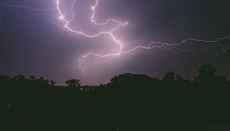 العاصفة اقتلعت الأشجار وعطلت القطارات