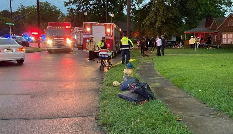 موقع سقوط إحدى الأشجار