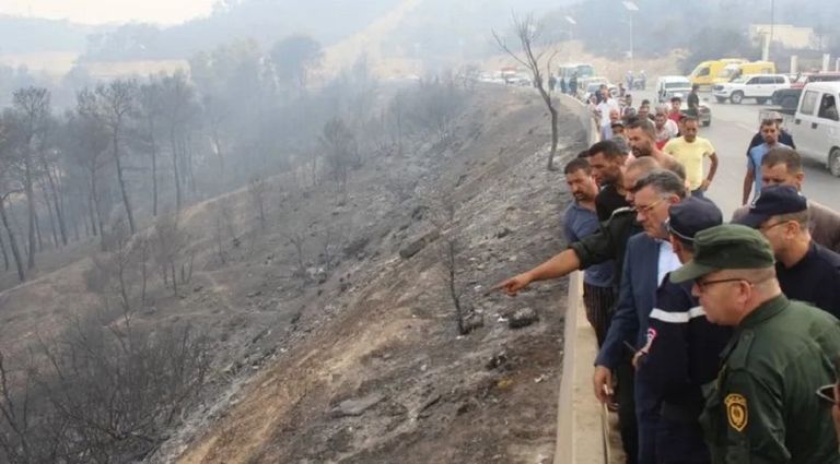 حرائق الغابات في الجزائر