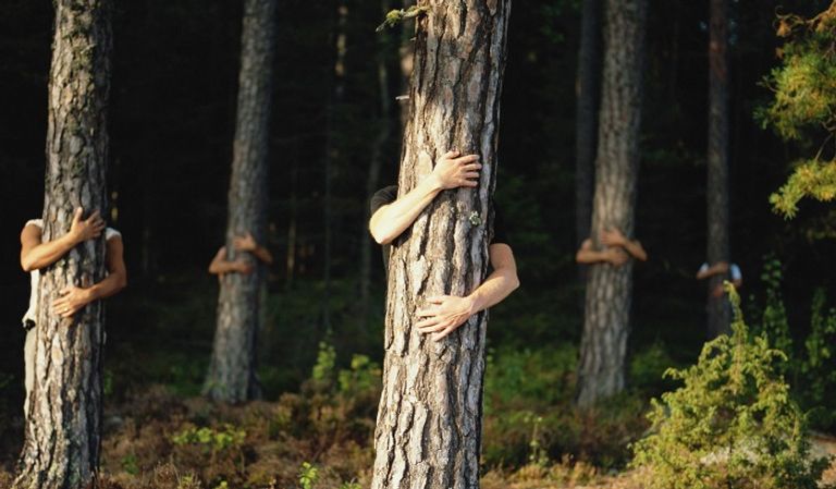 أحد المتسابقين في بطولة عناق الأشجار