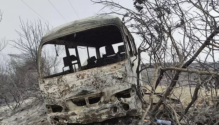 حرائق الجزائر دمرت الأشجار والتهمت الحيوانات