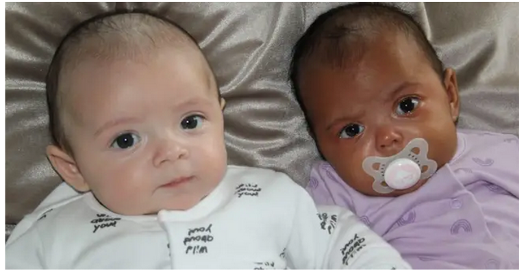 عائلة أشتون وشانتيل البريطانية