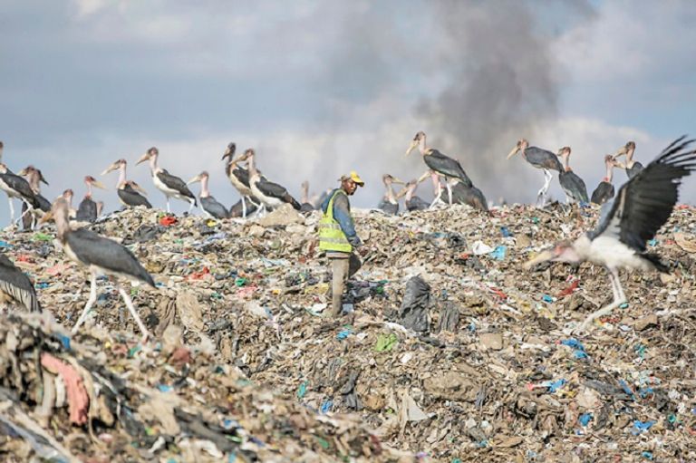 طيور تحط فوق بحيرة أوشكت على الجفاف في أفريقيا - أرشيفية