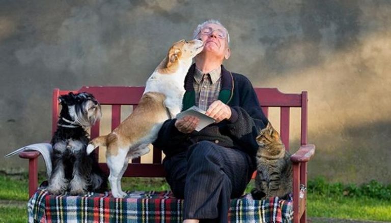 دموع الكلاب عند لقاء أصحابها سابقة علمية