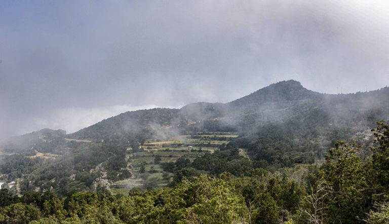 الحرارة في مدينة الضباب السعودية لا تتجاوز 20 درجة صيفا