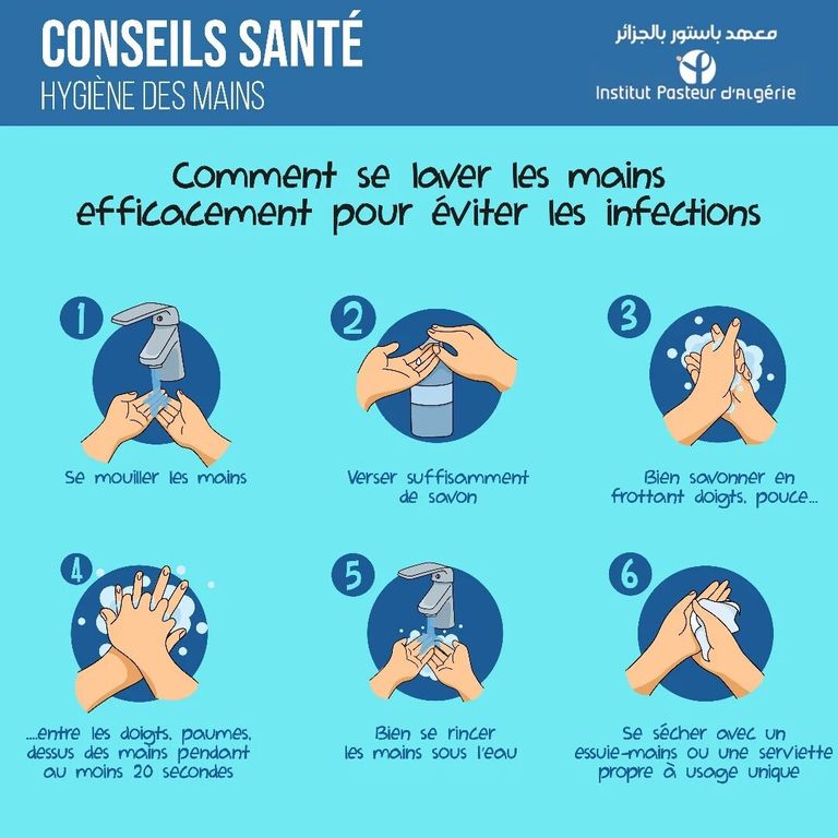 بعوضة النمر - أرشيفية