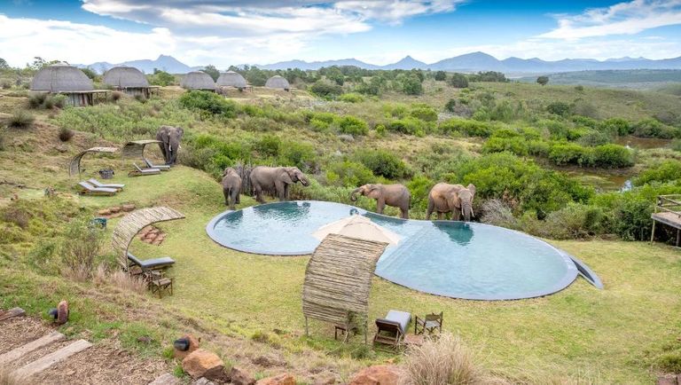 محمية جندوانا الخاصة للألعاب أحد المحميات الطبيعية في جنوب أفريقيا أفضل المحميات الطبيعية في جنوب أفريقيا لزيارة فريدة من نوعها