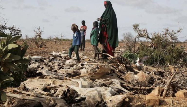 نازحة صومالية وأطفالها قرب ماشية نافقة بسبب الجفاف - رويترز