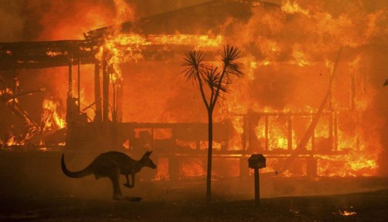 حرائق الغابات في أستراليا 2019 - أرشيفية