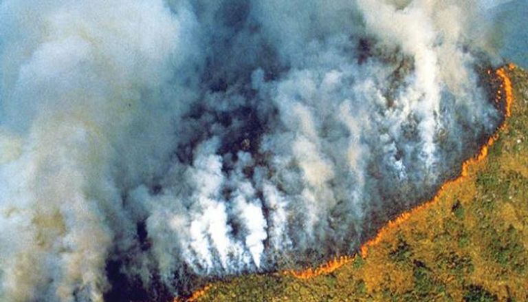 حرائق غابات الأمازون في البرازيل