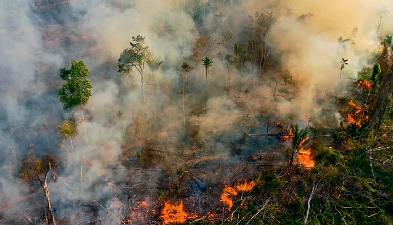 حرائق غابات الأمازون في البرازيل