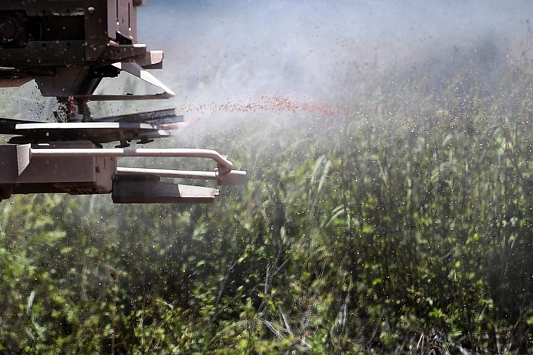 أزمة الأسمدة تصبح حقيقية بالنسبة لأسعار الغذاء في أوروبا