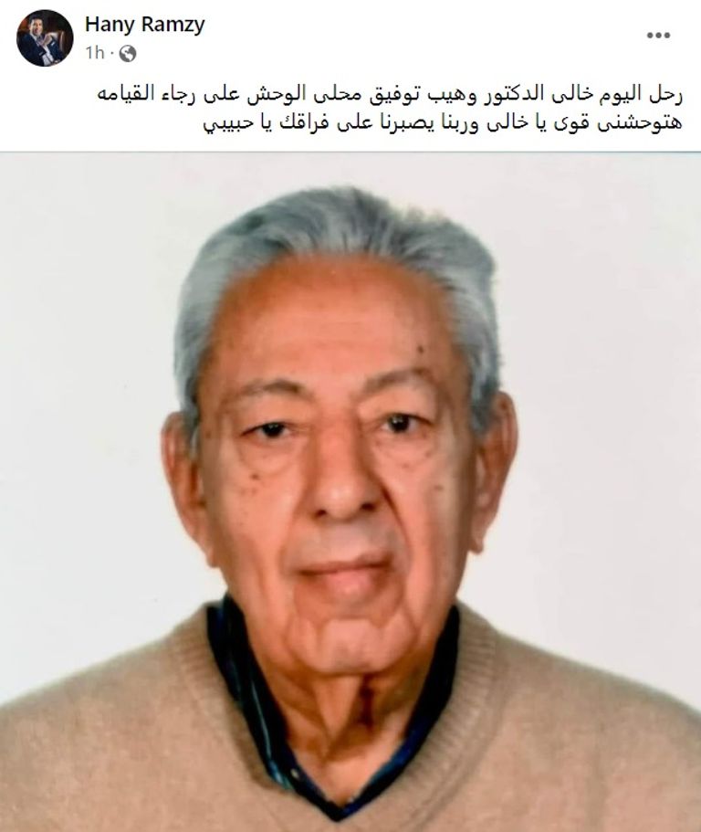 الفنان المصري هاني رمزي - أرشيفية