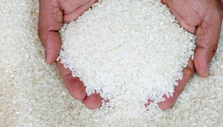 دعوة لمقاطعة الأرز في مصر