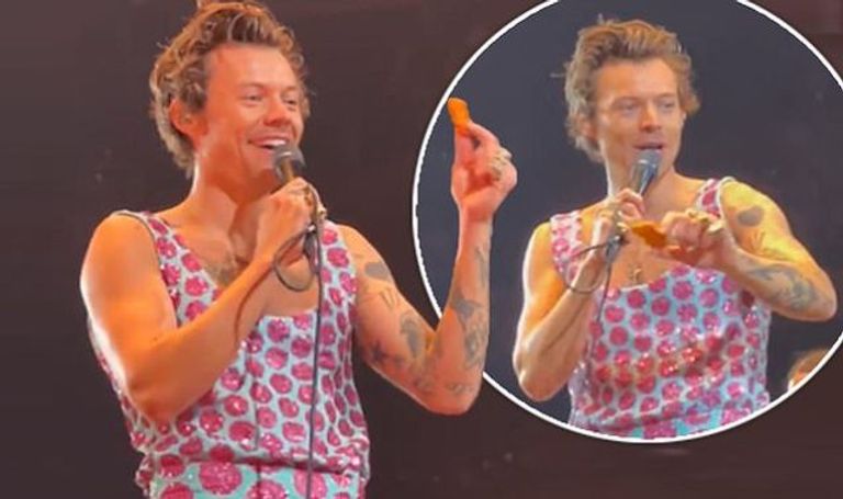 المغني والممثل هاري ستايلز