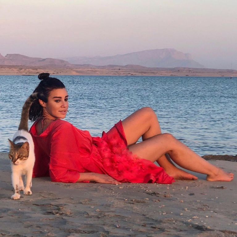 أروى جودة أروى جودة - أرشيفية