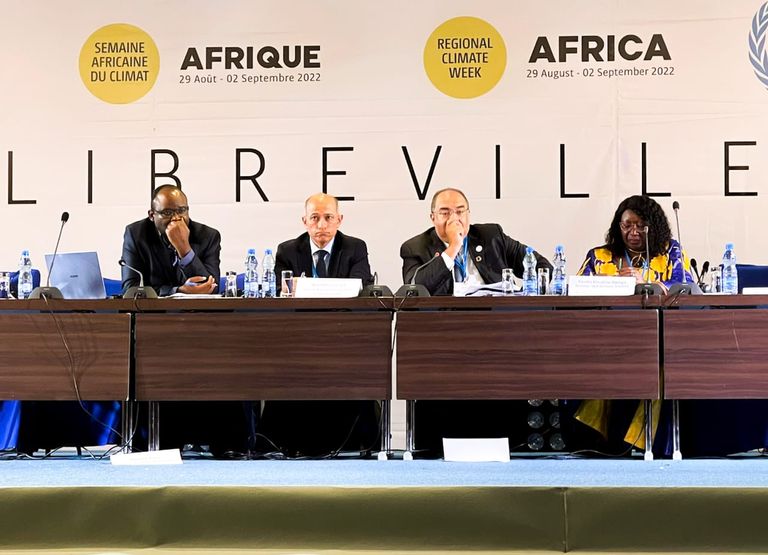 محمود محيي الدين خلال القاء كلمته