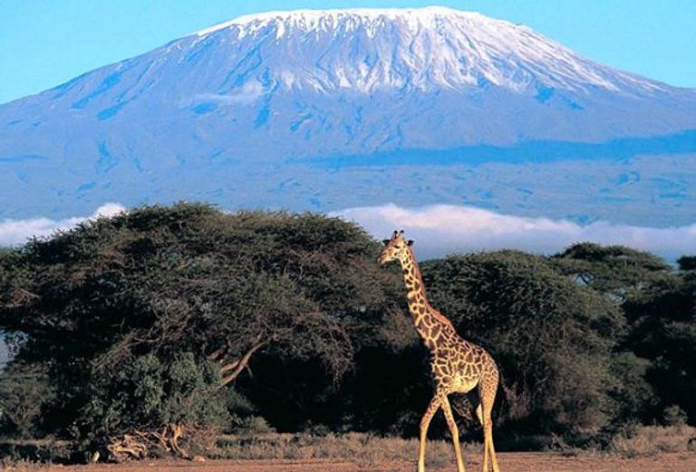 حديقة كليمنجارو الوطنية جبل كليمنجارو
