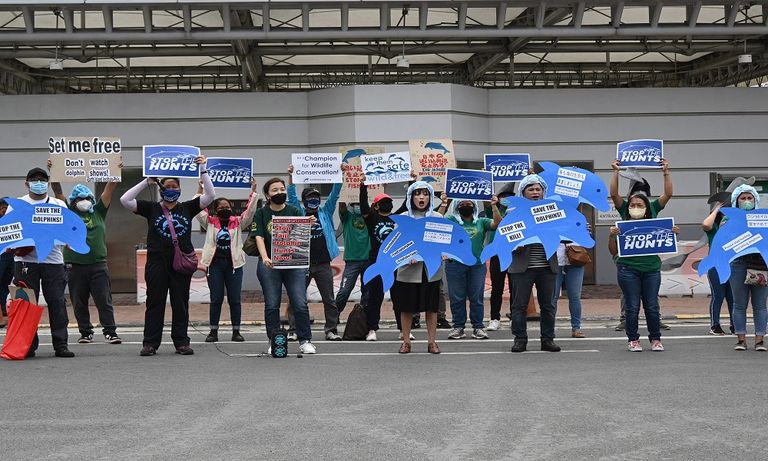 متظاهرون برؤوس دلافين في مانيلا- الفرنسية