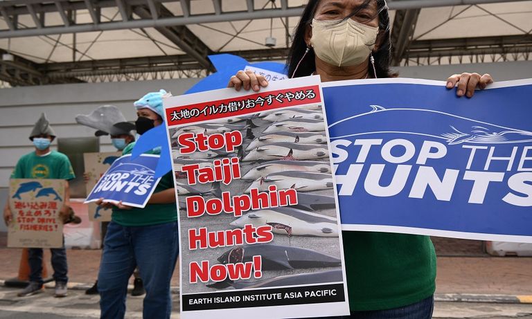 متظاهرون برؤوس دلافين في مانيلا- الفرنسية