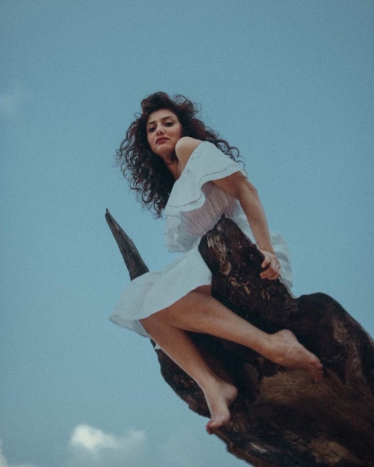 جيهان الشماشرجي