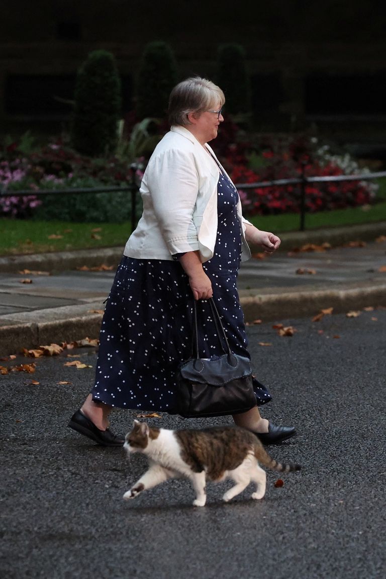 ليز تراس، رئيسة الوزراء البريطانية